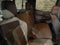 2024 Chevrolet Colorado WT